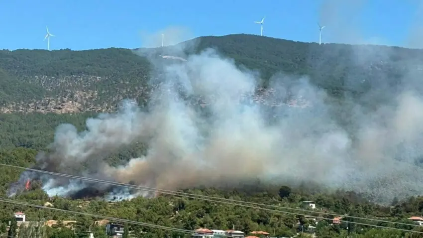 Aydın’da korkutan orman yangını: Çine’de alevler yükseldi haberinin görseli
