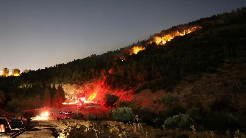 İzmir Bornova’da orman yangını: Ekipler seferber oldu haberinin görseli