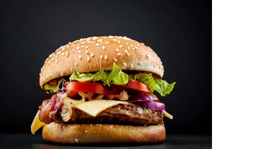 hamburger