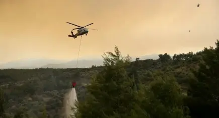 Türkiye alevlerle mücadele ediyor: Orman yangınlarında son durum! Hangi illerde devam ediyor?