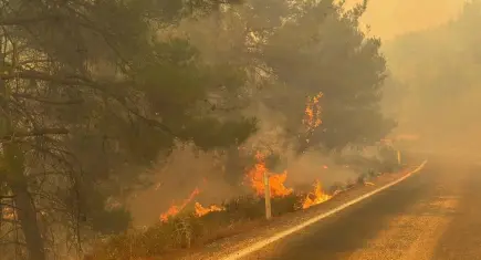 Balıkesir'deki yangın İzmir'e sıçradı: Müdahalede 3’üncü gün!