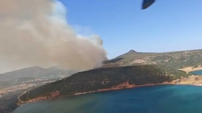 Foça’da makilik alanda yangın haberinin görseli