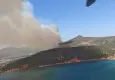 Foça’da makilik alanda yangın