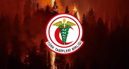 Yanan sadece ormanlar değil: Türk Tabipleri Birliği'nden kritik uyarı
