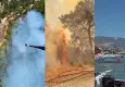 Antalya’da orman yangını! Alanya’da ormanlık alan alevlere teslim oldu