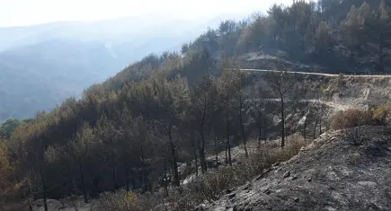 Aydın’da yangınla mücadelede 3’üncü gün: 8 helikopterle havadan müdahale yeniden başladı