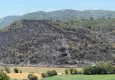 Balıkesir Susurluk'ta yangınla mücadele sürüyor