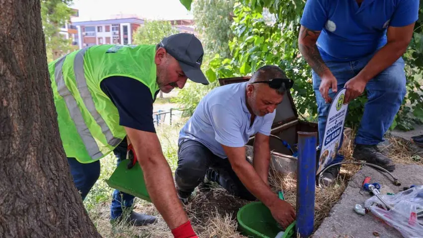 Buca’dan sokak hayvanları için otomatik su kapları haberinin görseli
