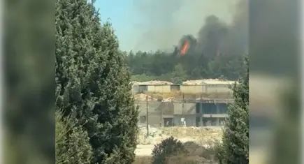 İzmir Buca'da orman yangını
