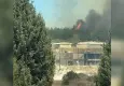 İzmir Buca'da orman yangını