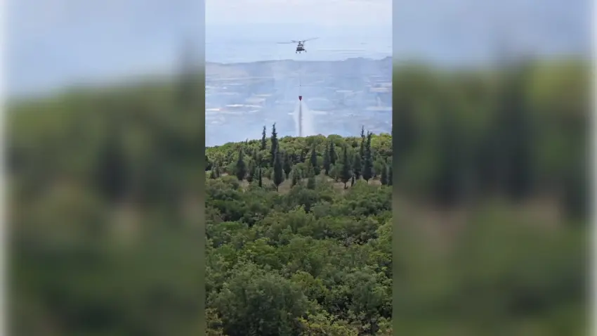 Kocaeli'nde OSB yakınında orman yangını: Havadan ve karadan müdahale haberinin görseli