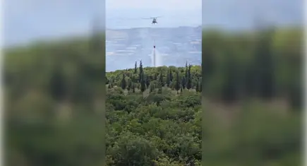 Kocaeli'nde OSB yakınında orman yangını: Havadan ve karadan müdahale