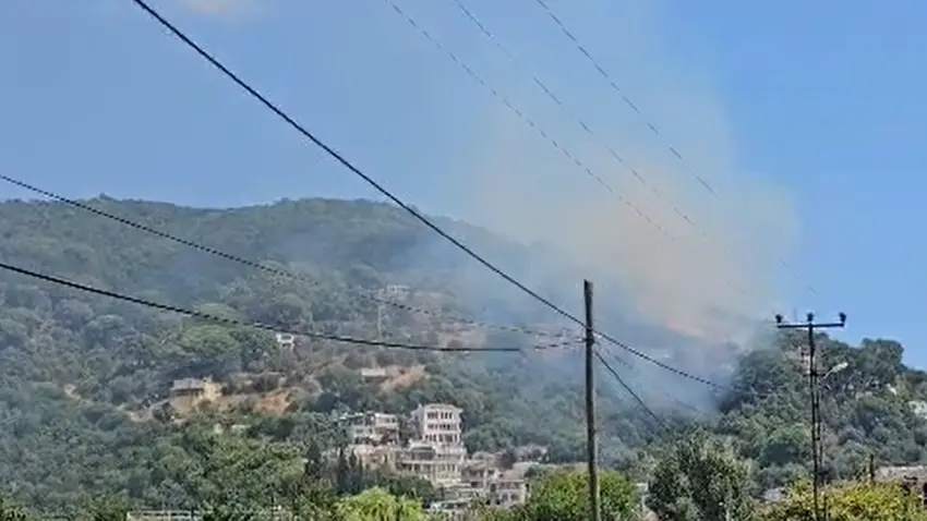 yangın