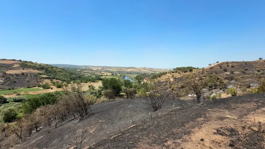 susurluk