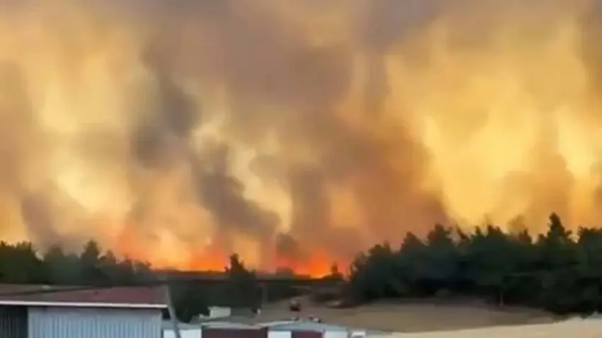 Çanakkale’de orman yangını haberinin görseli