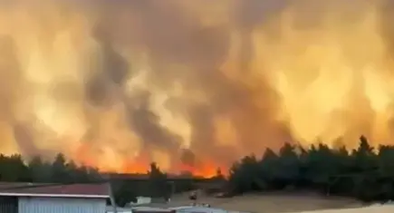 Çanakkale’de orman yangını
