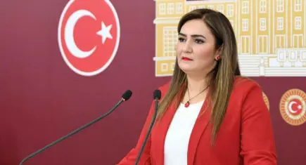 Porajmos'un yıl dönümünde Vekil Kılıç'tan anlamlı mesaj