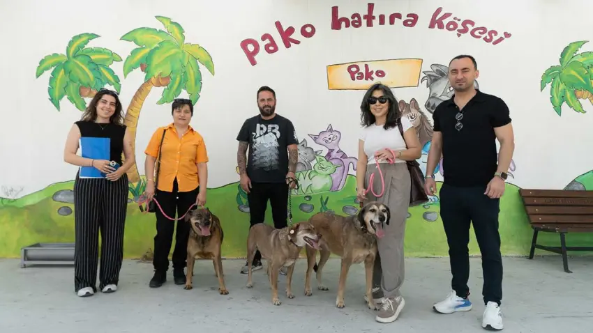 İzmir Büyükşehir’in “Patili Dostlar İş Başında” projesi can dostları yuvalarından ayırmadı haberinin görseli