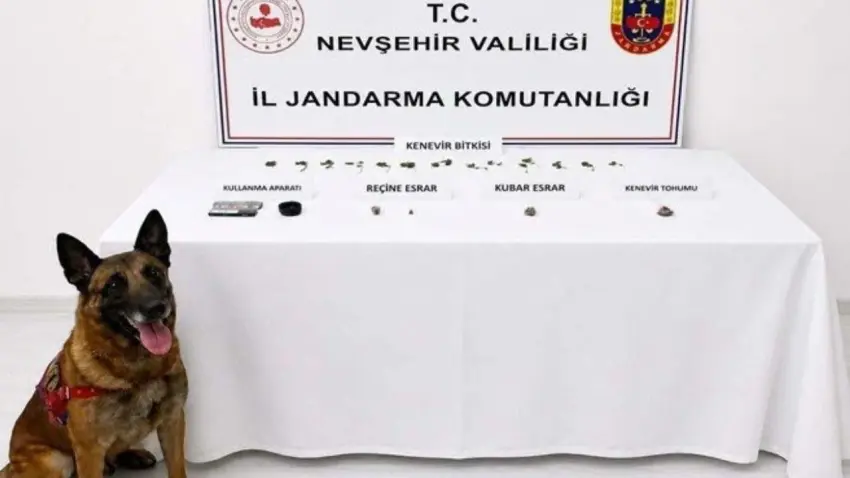 Nevşehir'de jandarmadan uyuşturucu operasyonu: 6 şüpheli yakalandı haberinin görseli