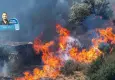 Orman yangınları havayı suyu ve üretimi vuruyor