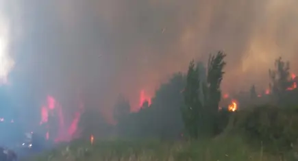 Çanakkale’de orman yangını