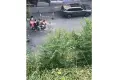 Yarı çıplak halde sokağa çıktı, motosikletin önüne atladı