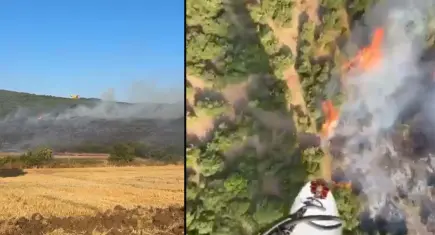 Balıkesir Manyas'ta tarım arazisinde başlayan yangın ormana sıçradı