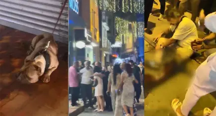 Beyoğlu'nda köpek kavgası kanlı bitti: Pıtbull'un sahibi 3 yerinden bıçaklandı