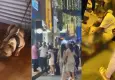 Beyoğlu'nda köpek kavgası kanlı bitti: Pıtbull'un sahibi 3 yerinden bıçaklandı