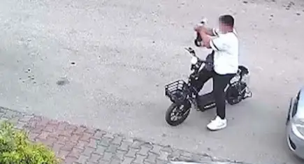 Kedi cinayetine polis müdahalesi: 15 yaşındaki şüpheli gözaltında!