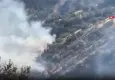 Malatya Pütürge'de orman yangını! Ekipler seferber oldu
