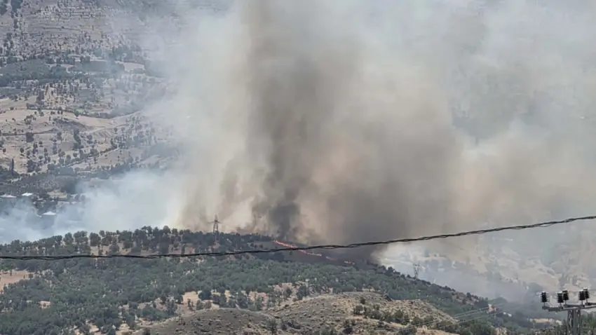 Adıyaman'da orman yangını haberinin görseli