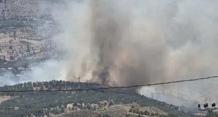 Adıyaman'da orman yangını