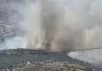 Adıyaman'da orman yangını