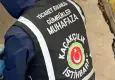 Gümrüklerde bu yıl 58 binden fazla canlı hayvan kurtarıldı!