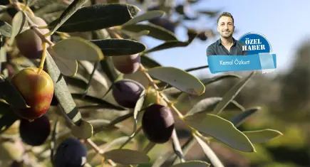 Köylünün ekmek teknesine yüksek gerilim darbesi