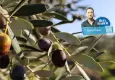 Köylünün ekmek teknesine yüksek gerilim darbesi