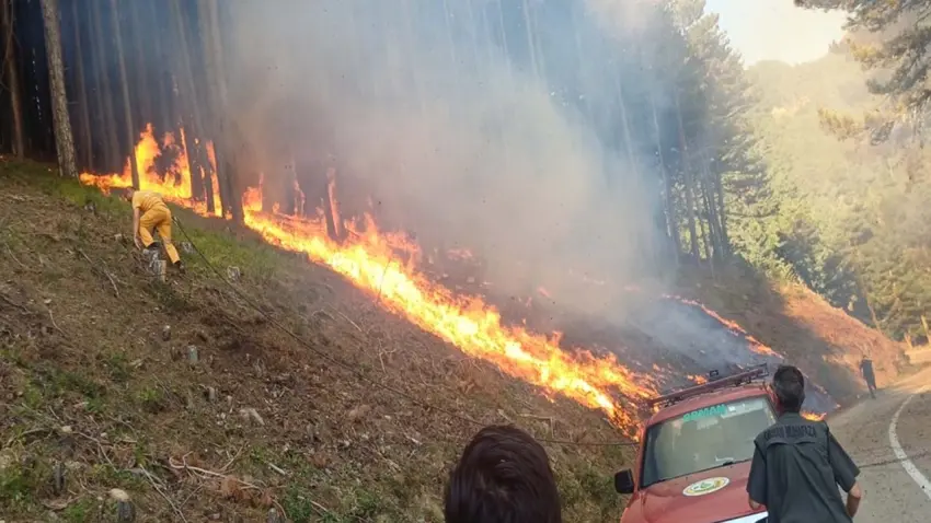 Uludağ'da orman yangın haberinin görseli