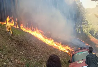 Uludağ'da orman yangın