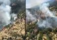 Aydın'da tarım arazisinde yangın: 50 dönüm kestane bahçesi zarar gördü