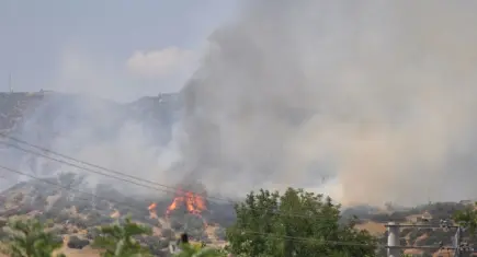 Bayındır’da zeytinlik alanda çıkan yangın kontrol altına alındı