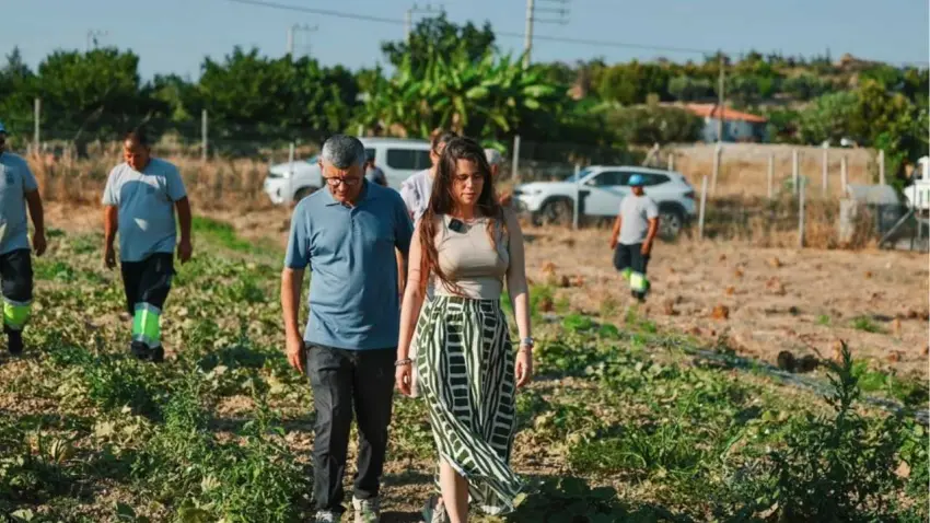 Çeşme'de yerel tarımı güçlendiren projeler hayata geçiyor haberinin görseli