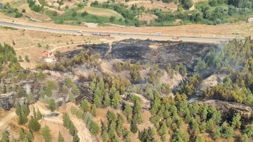 Denizli Pamukkale'deki orman yangını kontrol altına alındı haberinin görseli