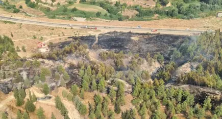 Denizli Pamukkale'deki orman yangını kontrol altına alındı