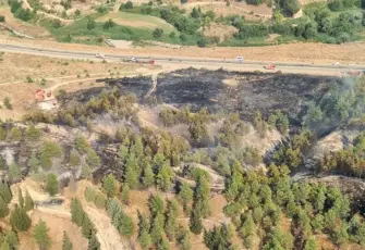 Denizli Pamukkale'deki orman yangını kontrol altına alındı