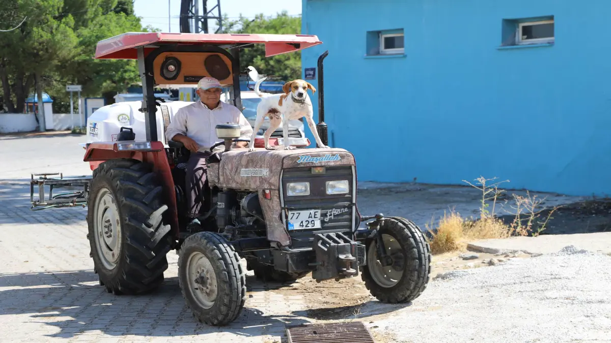 Köpek Benekli, çiftçi sahibinin en sadık yol arkadaşı oldu görseli