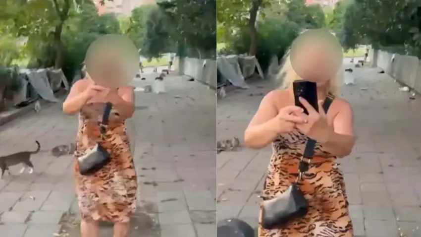 Bakırköy’de kedilere mama verirken yolu kapatan kadın yakalandı: Hakkında 150 kayıt çıktı haberinin görseli