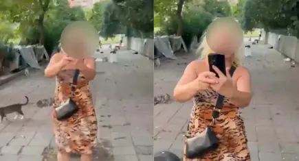 Bakırköy’de kedilere mama verirken yolu kapatan kadın yakalandı: Hakkında 150 kayıt çıktı