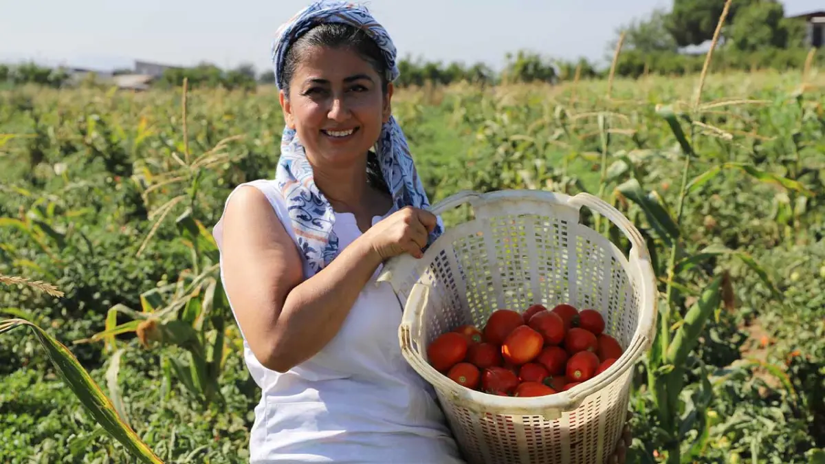 Eczanede başlayan mesaisi tarlada bitiyor görseli
