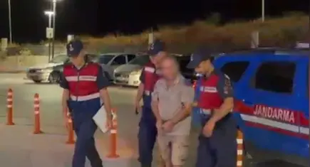 İzmir’de 3 köpeğe tüfekle ateş açıldı: Zanlı gözaltında